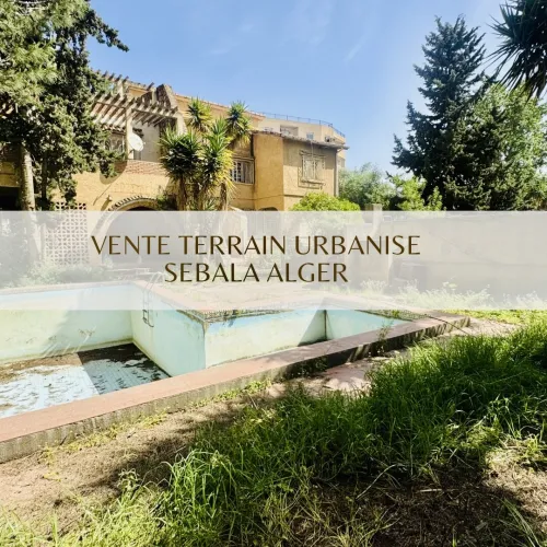 Vente Terrain Alger Draria