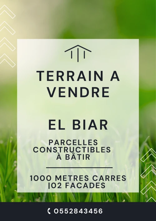 Vente Terrain Alger El biar