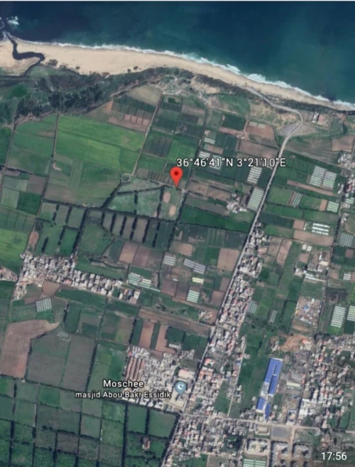Vente Terrain Alger Reghaia