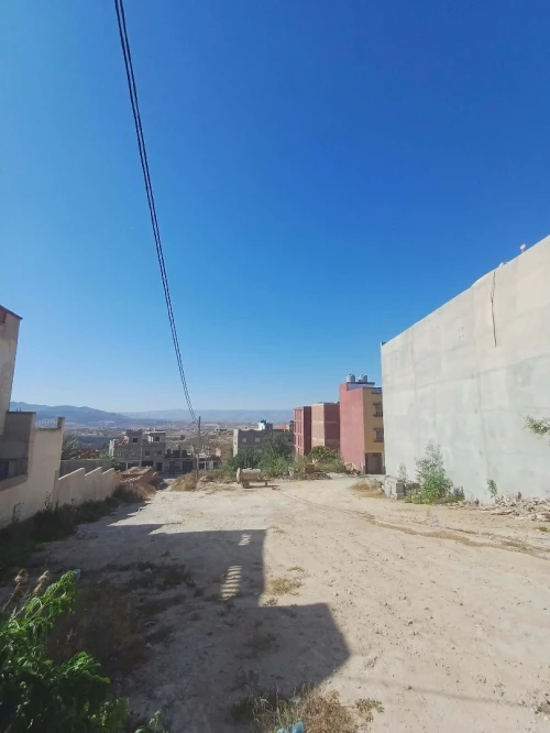 Vente Terrain Tlemcen Marsa ben mhidi