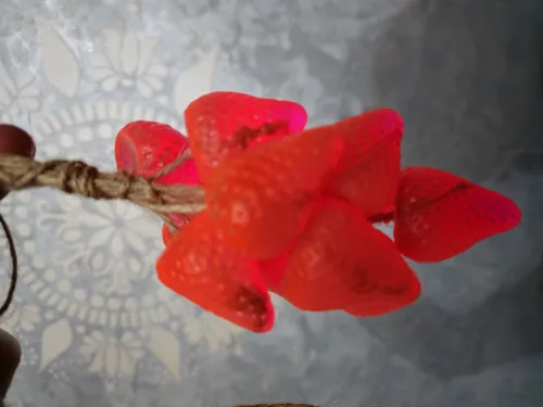 Savon fraise