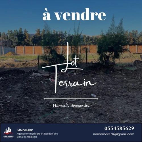 Vente Terrain Boumerdès Hammedi