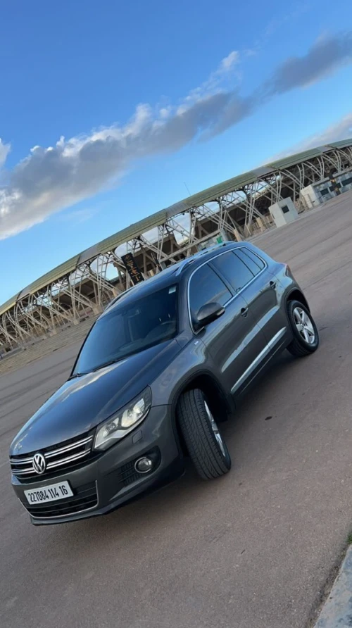 Volkswagen Tiguan 2014 Cup