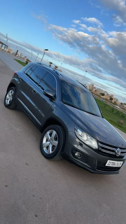 Volkswagen Tiguan 2014 Cup