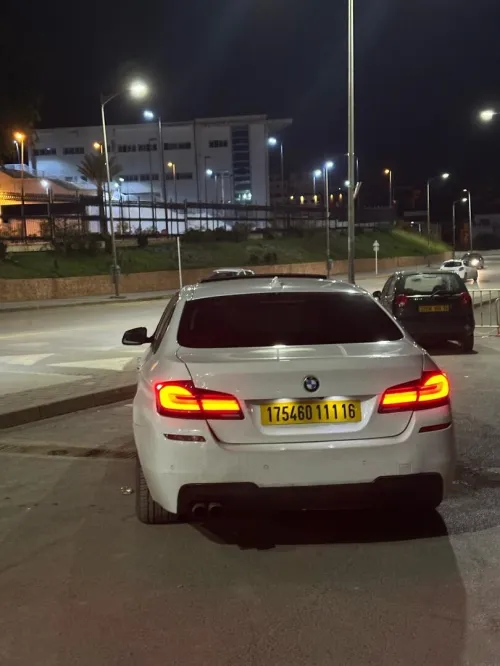 BMW Série 5 2011 520d f10