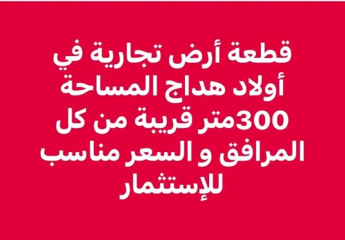 Vente Terrain Boumerdès Ouled hedadj