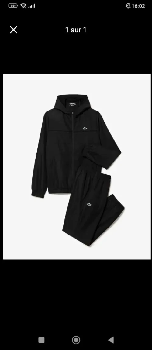 Lacoste