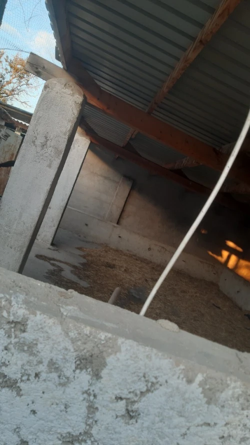 Location bien immobilier Constantine Constantine