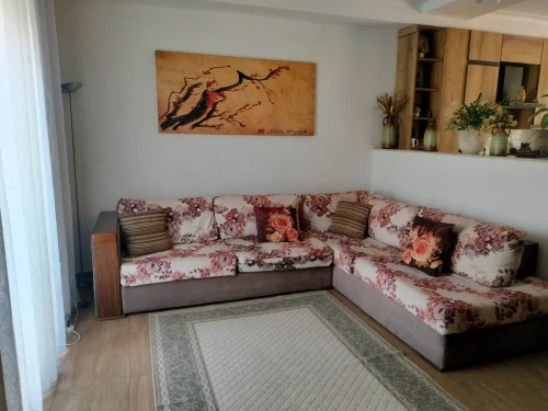 Salon +tapis +cadre