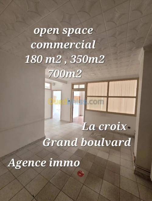 Location Appartement F10 Alger Kouba