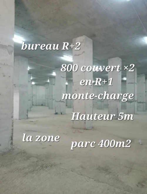 Location Hangar Alger Cheraga