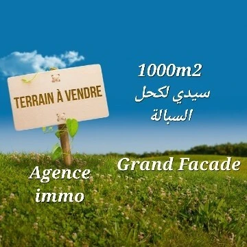 Vente Terrain Alger Draria