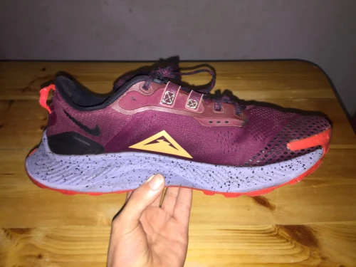 Nike Pegasus Trail 3