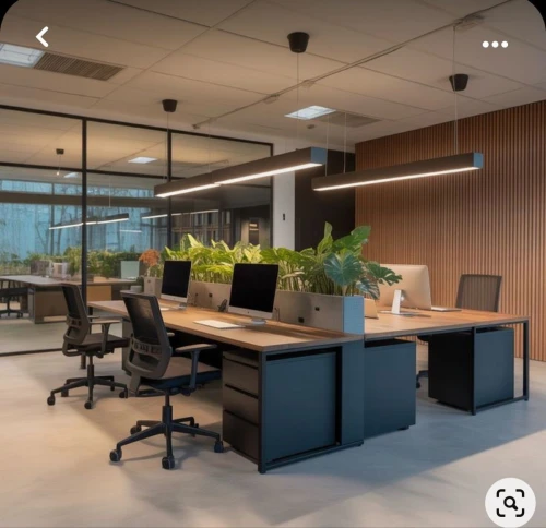 Aménagement & Décoration Professionnelle - Bureaux & Showrooms
