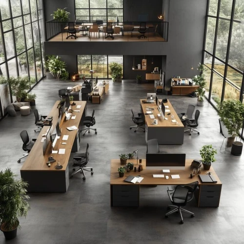 Aménagement & Décoration Professionnelle - Bureaux & Showrooms
