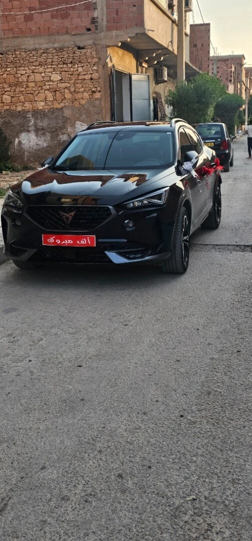 Cupra  Formentor 2023 Z