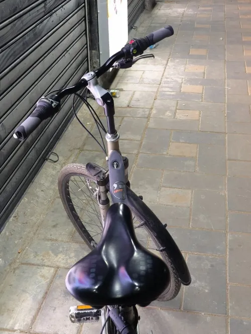 Velo bitwin 7 tree bon etet جديده