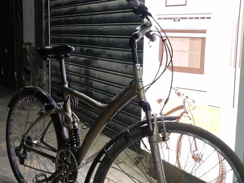 Velo bitwin 7 tree bon etet جديده