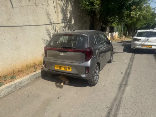 Kia Picanto 2026 