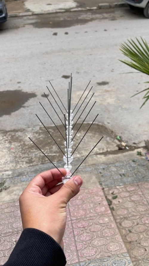 Pic anti pigeon solution pigeon , pigeon, الحمام , محافحة الحمام  