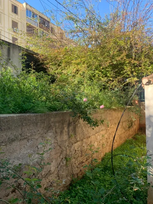 Vente Villa Alger Zeralda