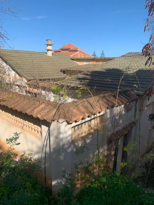 Vente Villa Alger Zeralda
