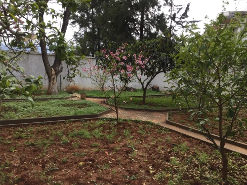 Vente Terrain Alger Birkhadem