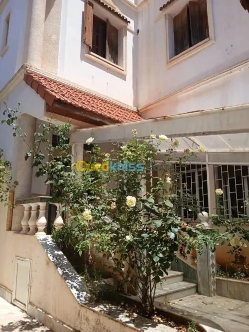 Location Villa Alger Dely brahim