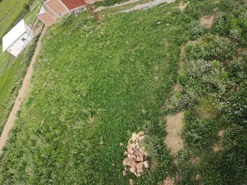 Vente Terrain Boumerdès Bordj menaiel