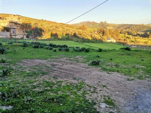 Vente Terrain Boumerdès Bordj menaiel