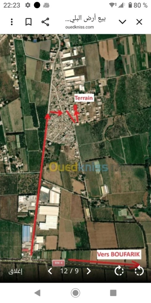 Vente Terrain Blida Ben khellil