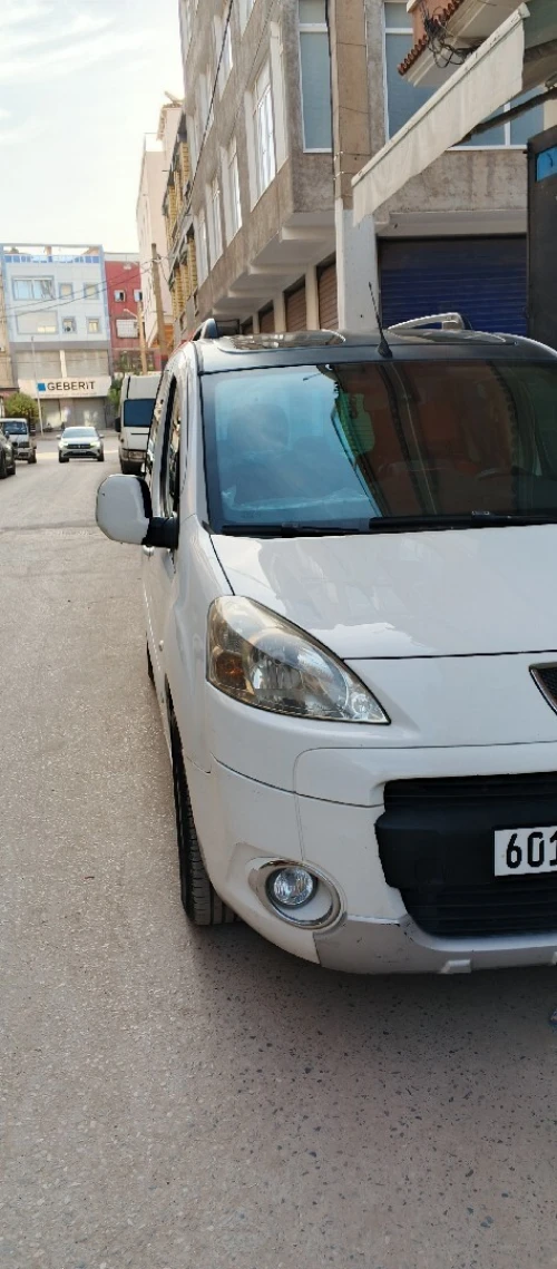 Peugeot Partner 2010 Tepee