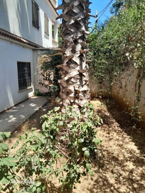 Vente Villa Alger Dar el beida