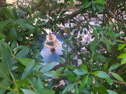 Vente Villa Tiaret Sougueur