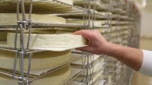 التطهير الثوري لمخازن النضج والجبن   désinfection d'haloir fromagerie et de camembert 
