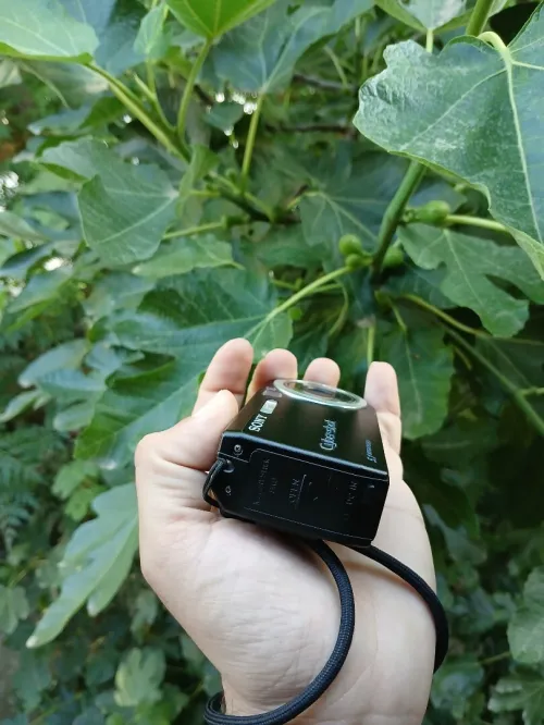 sony dsc p120