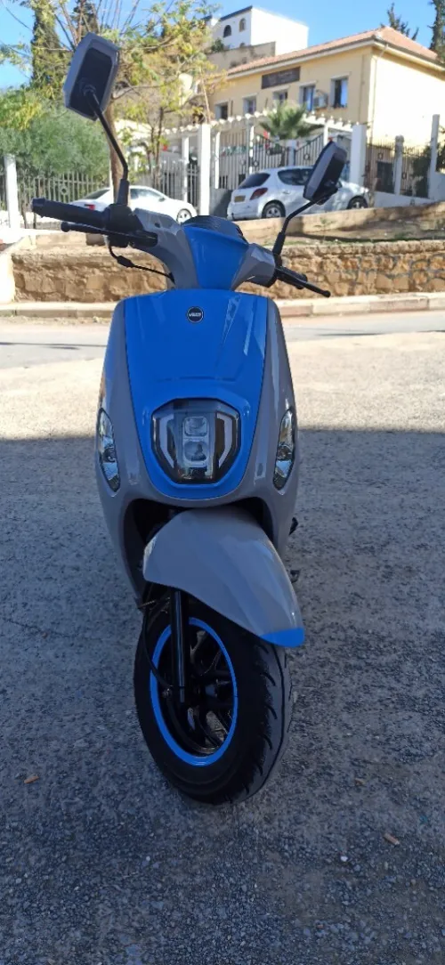 Estate x Vms 2025