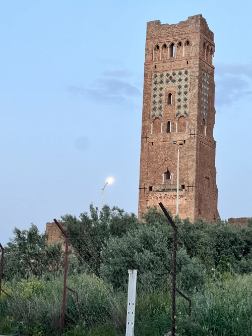 Location vacances Appartement F2 Tlemcen Tlemcen