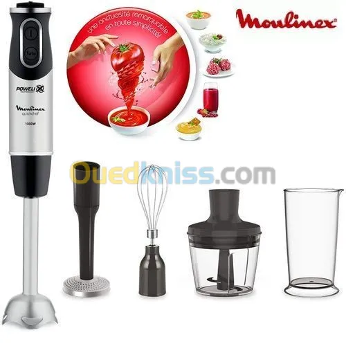 Moulinex Pied mixeur, 1000 W, 10 vitesses