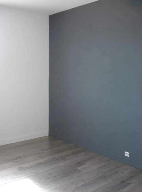 Peintre.  pentre.  Pantre.  صباغ