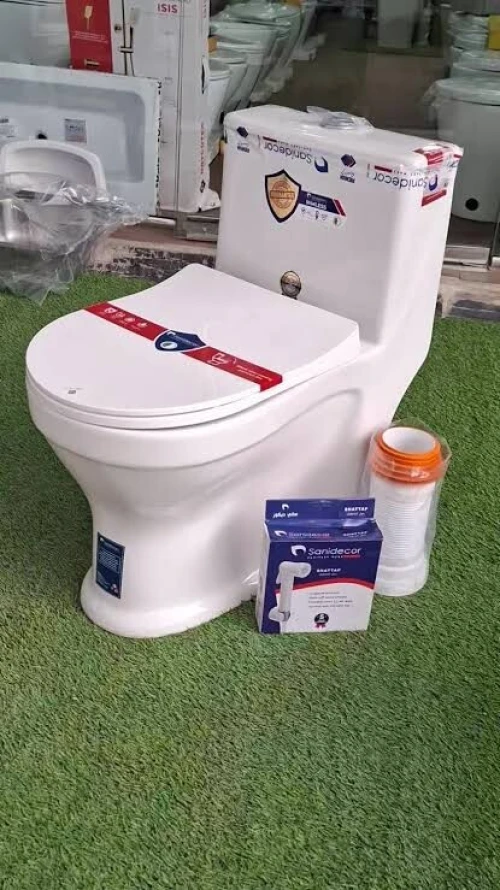 Cuvette monobloc sanidecor