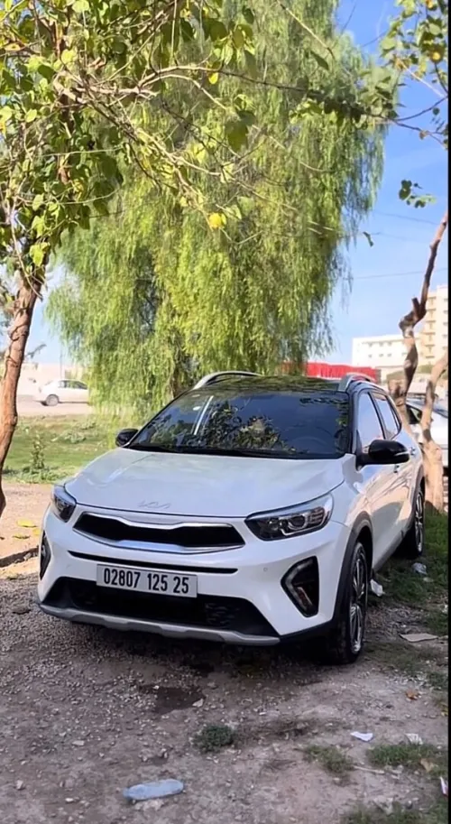 Kia KX1 2025 Kx1