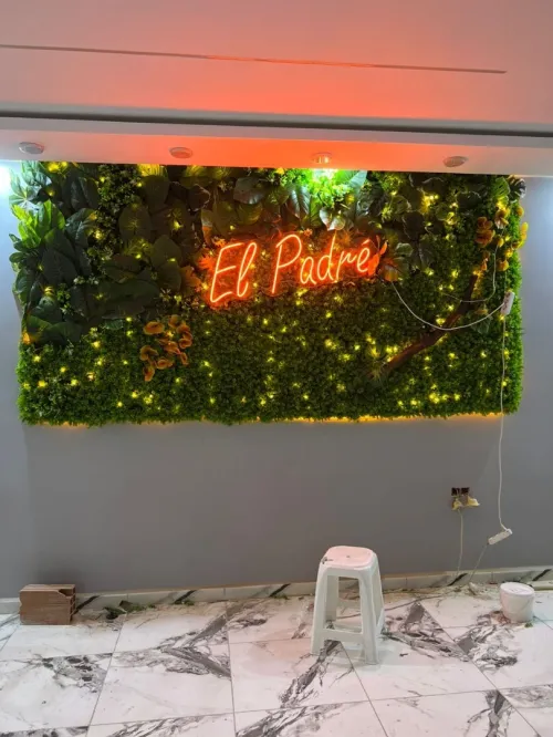 neon Led
