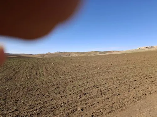 Vente Terrain Médéa Ain boucif