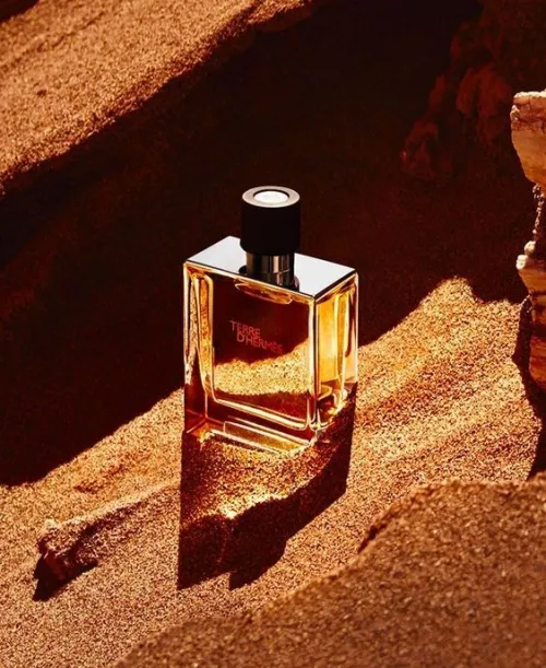 Terre dHermès  Eau de Toilette
