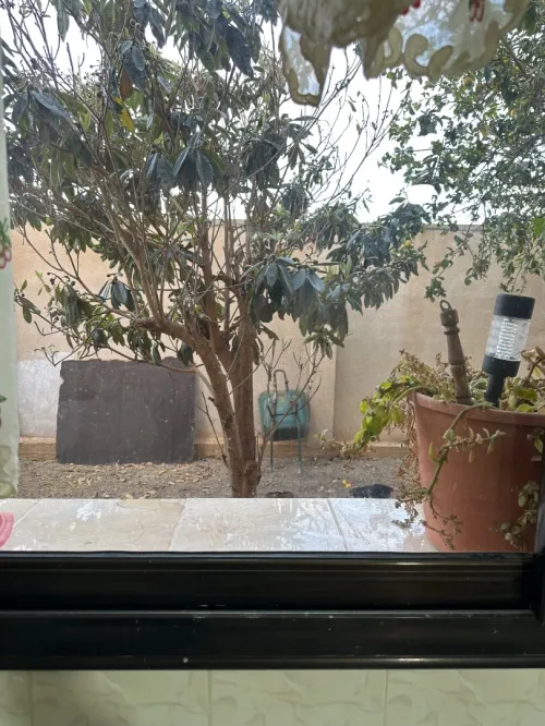 Vente Villa Oran Oran