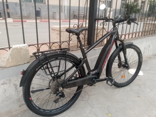Vélo électrique polyvalente moteur Bosch