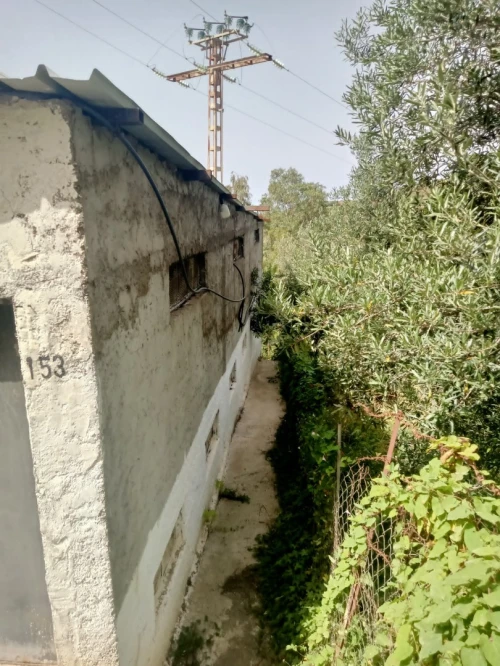 Vente Terrain Béjaïa Souk el thenine