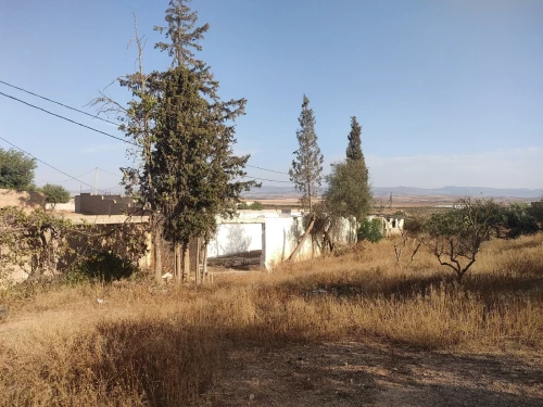 Vente Terrain Agricole Tlemcen Remchi
