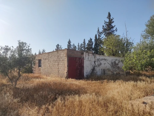 Vente Terrain Agricole Tlemcen Remchi